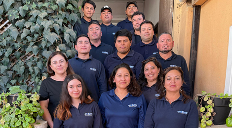 Mantención Mayor Teck